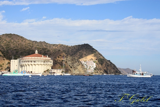 Reisebericht Catalina USA Erich Ritter Kelbwälder