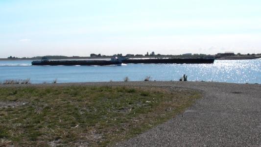 Oosterschelde bei Zijpn