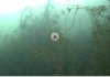 Video: Eisensee