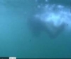Video: Grube Ludwig II / 2. Film
