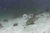 Video: Thailand 1